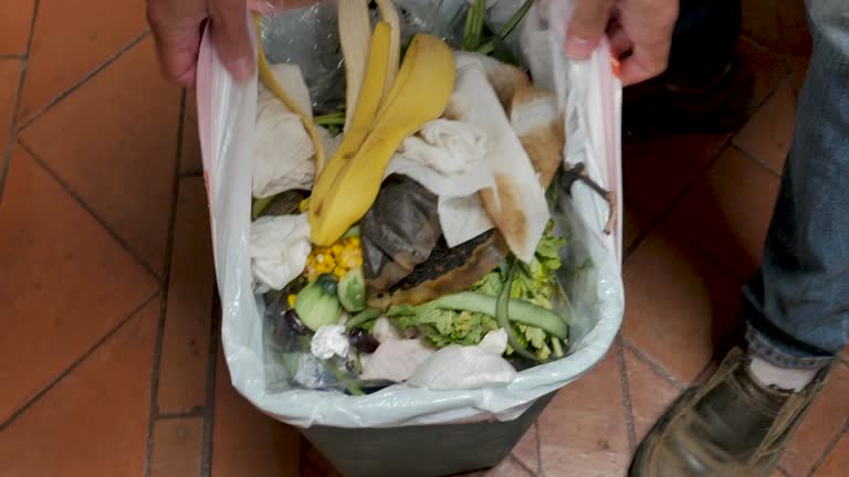 Best Property Management Cleanouts  in East Berwick, PA